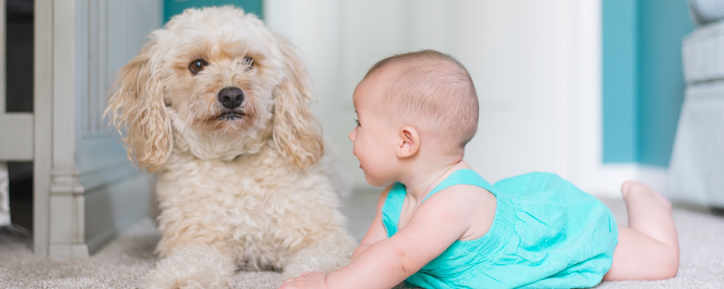 Baby crawling alongside a puppy at home