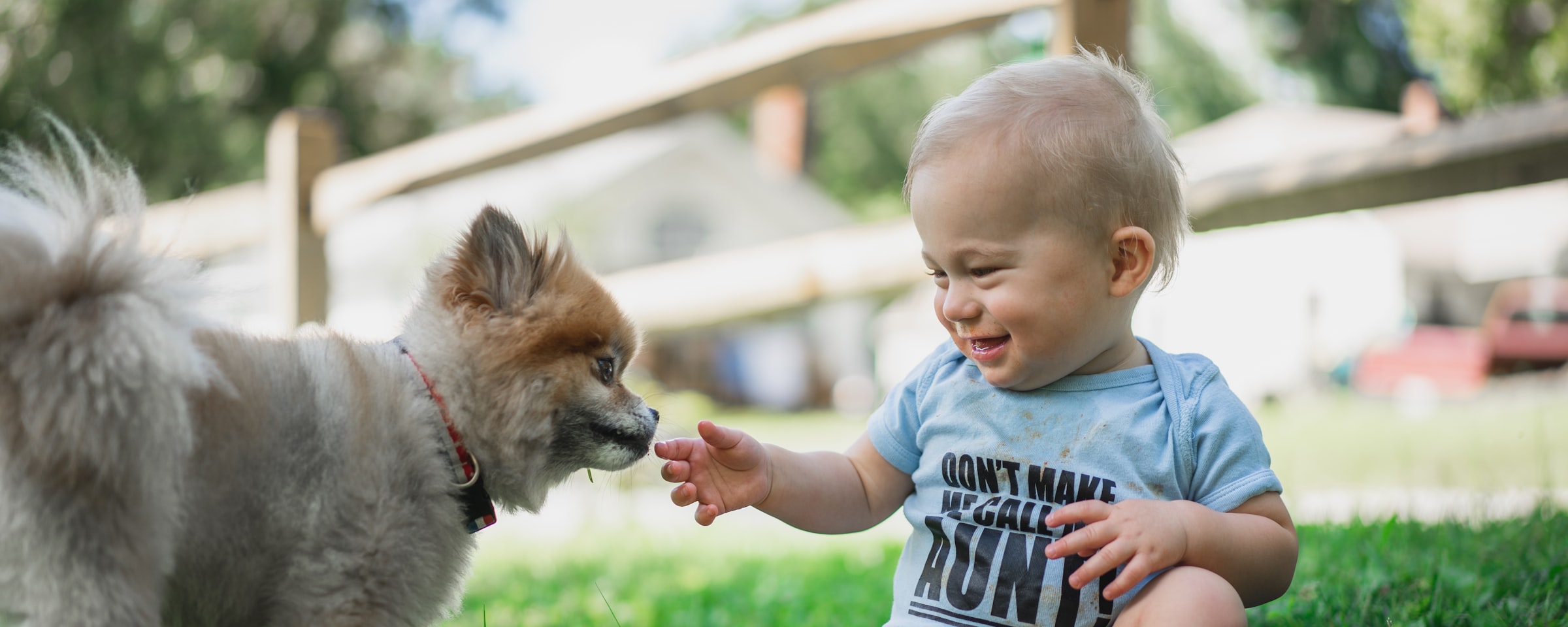 Boy sitting on the grass with his puppy
